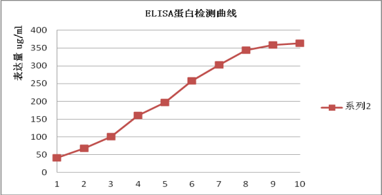 反應器培養CHO細胞表達一種融合蛋白